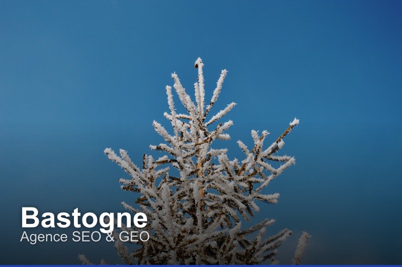 Agence SEO & GEO à Bastogne, Belgique - Trouvez un professionnel