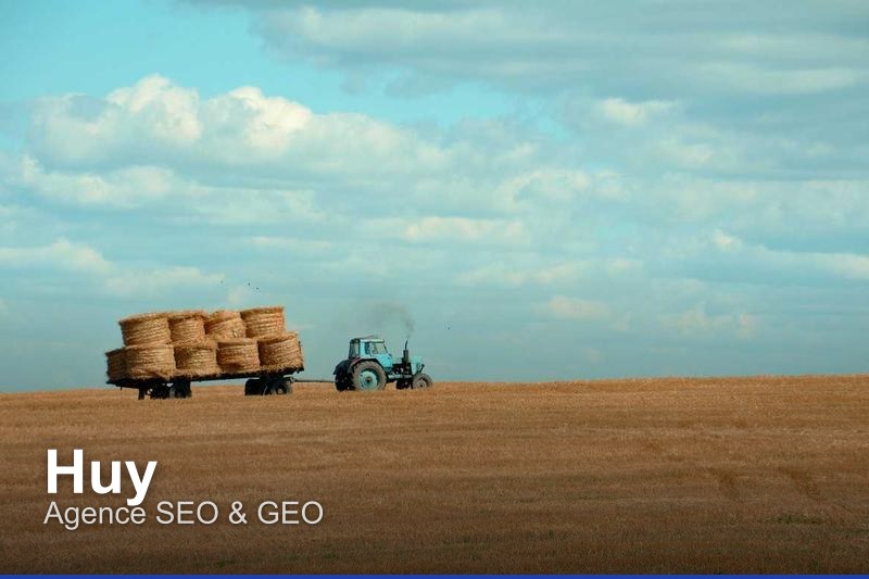 Agence SEO & GEO à Huy, Belgique - Trouvez un professionnel