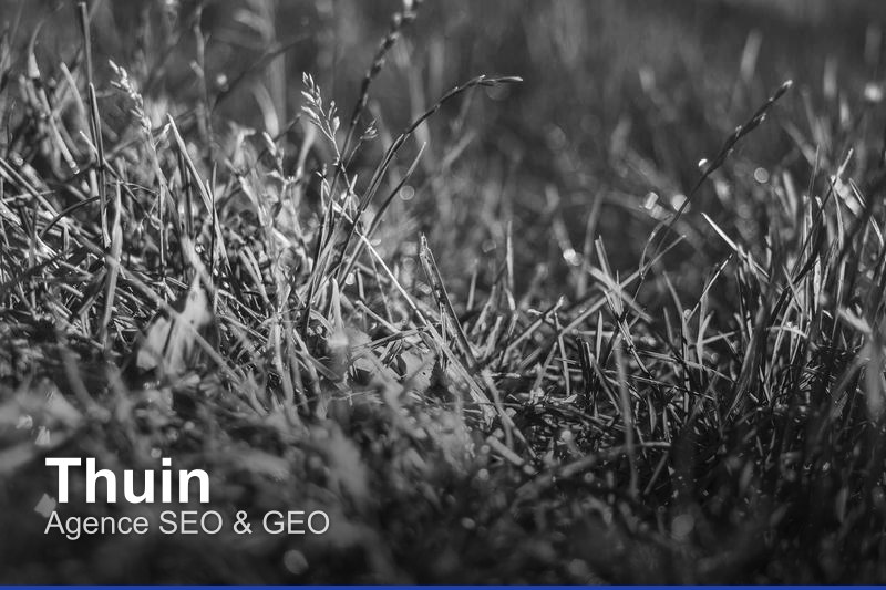 Agence SEO & GEO à Thuin, Belgique - Trouvez un professionnel